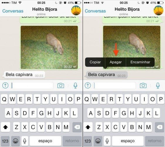conversas