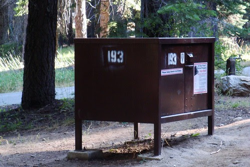 302 bear box