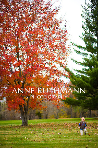 Family Lifestyle Portraits