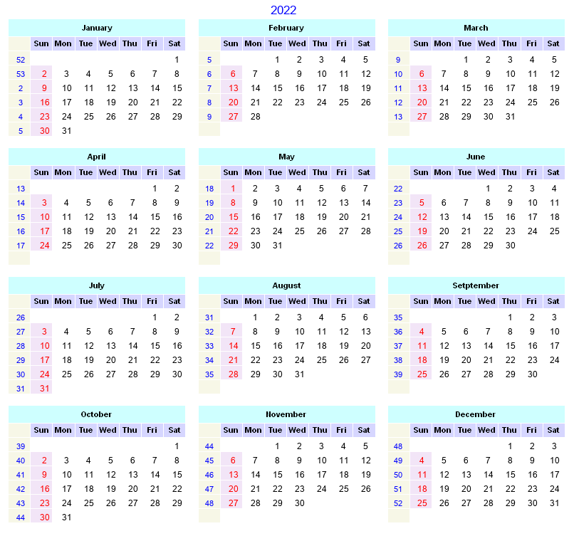 Archbishop Mccarthy Calendar 2025-2025