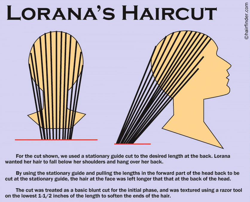 haircut diagram