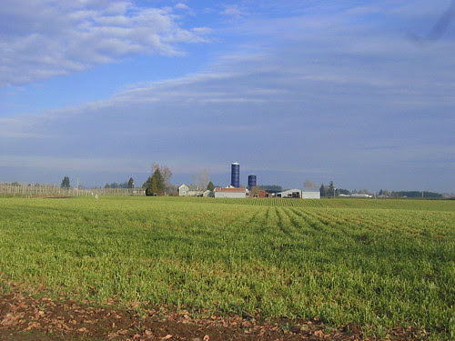 Farm on Gallon House Road