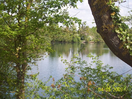 Gouvieux > Etangs de Toutevoie — vive le printemps | GOUVIEUX