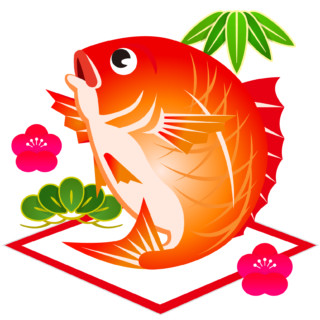 50 イラスト 鯛 写真素材 フォトライブラリー
