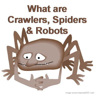 Spider Spider