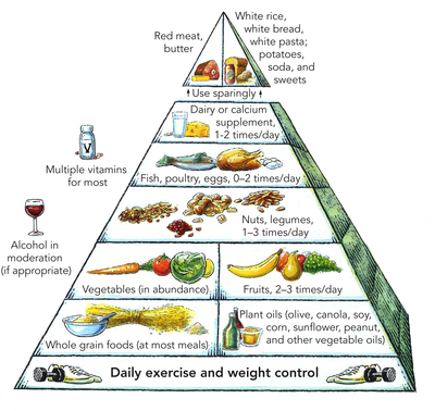 About 'nutritional needs of children'|Guest Post #2 — feeding the ...