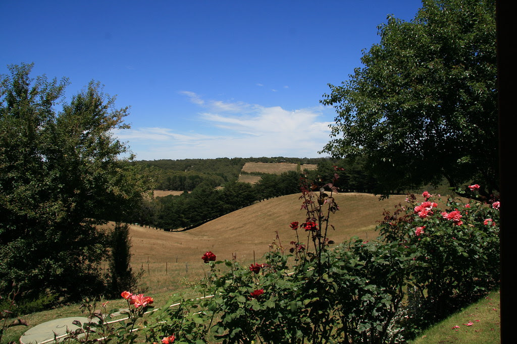 View of Coat property from Roberts