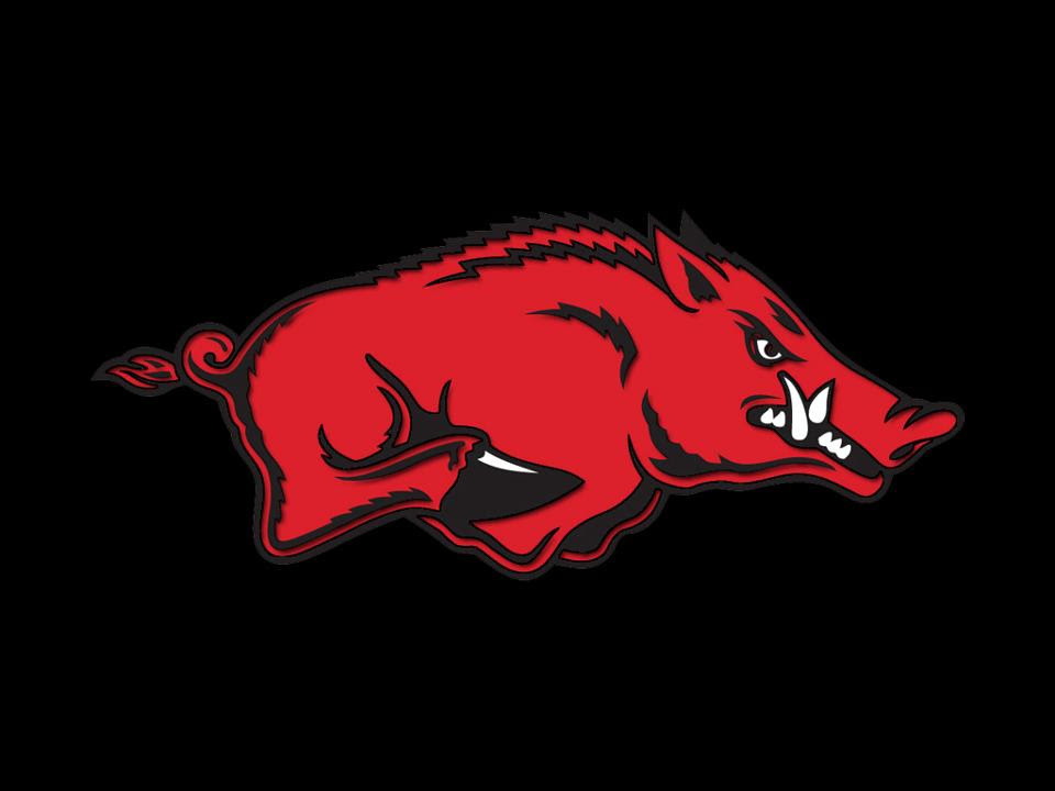 Razorback Wallpaper