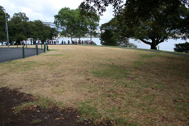 Mrs Macquaries Point Lawn