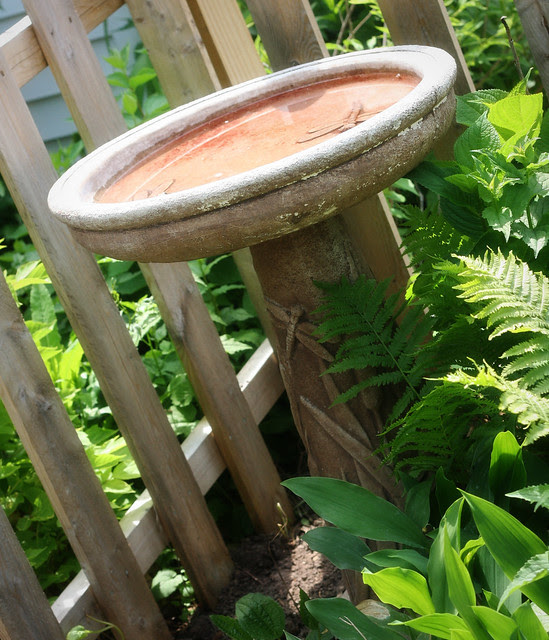 birdbath