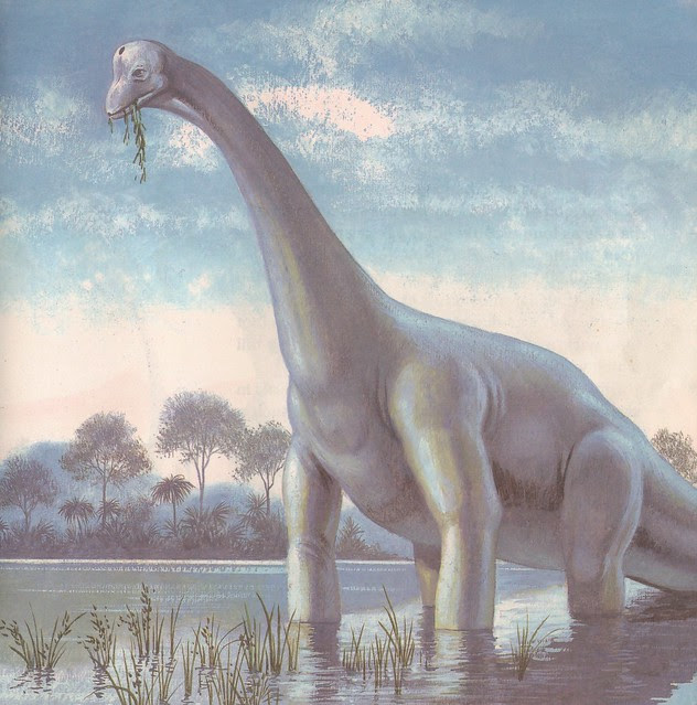 Brachiosaurus