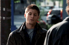 SPNG Tags: Dean / Confused / scratching head
A special thanks to smittenginger for submitting this!
Looking for a particular Supernatural reaction gif? This blog organizes them so you don’t have to spend hours hunting them down.