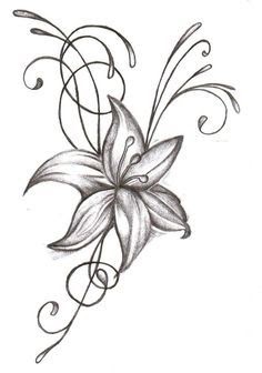 Simple Easy Cattleya Flower Drawing