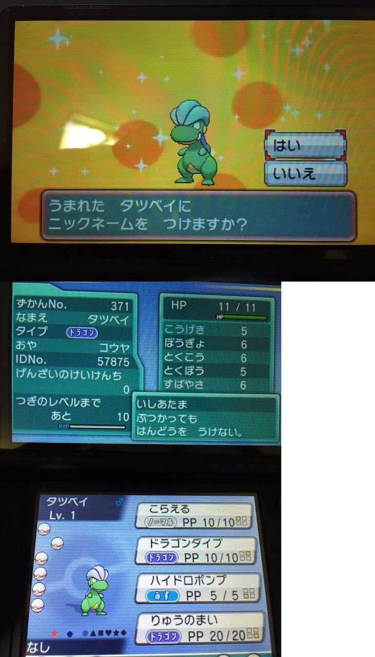 ポケモン Oras タツベイ 無料ポケモン画像ページ