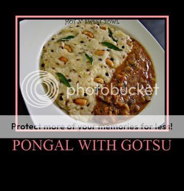 Pongal With Gotsu