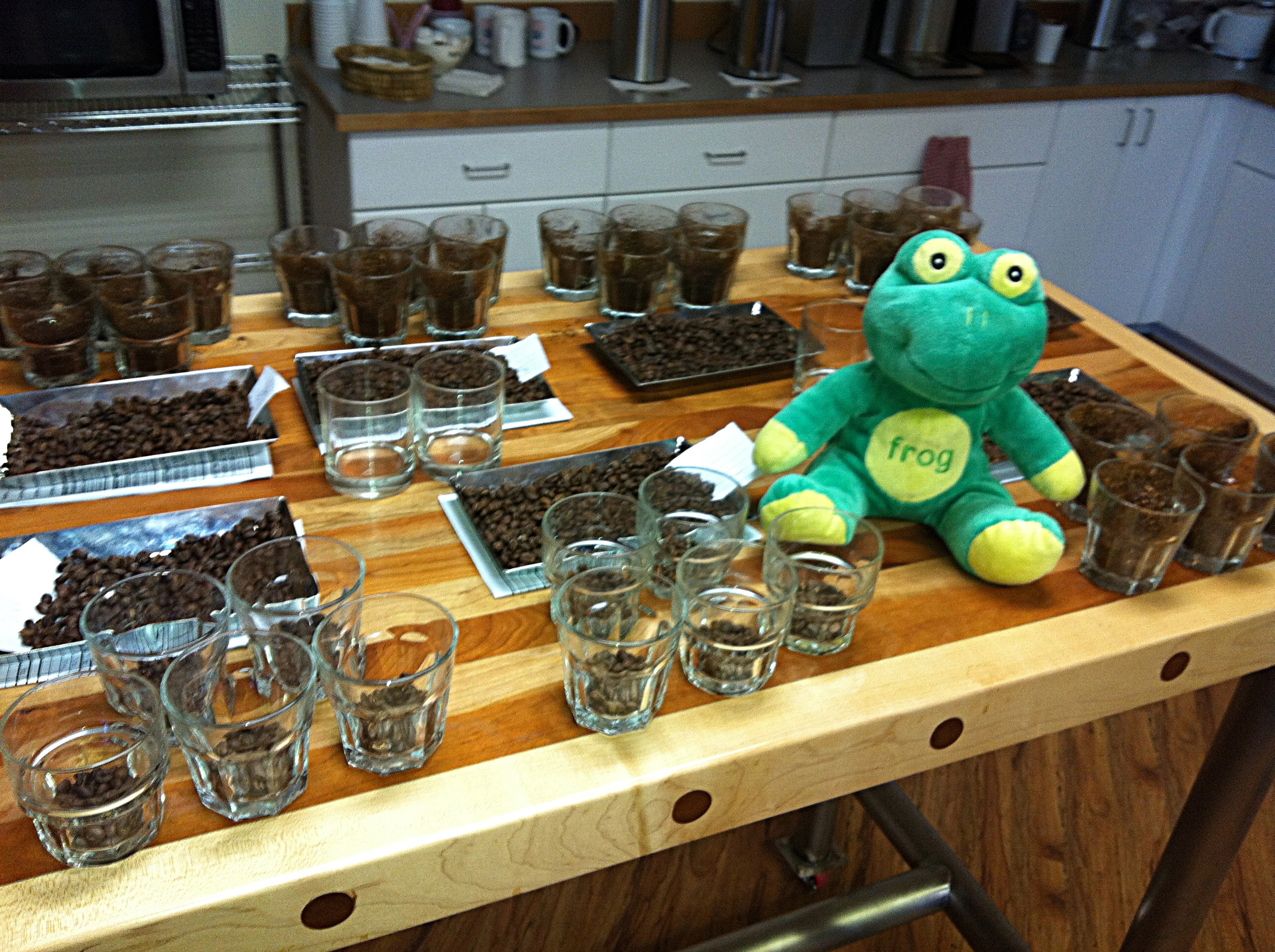 7Feb5FrogQAtCuppingTable2 cupping table