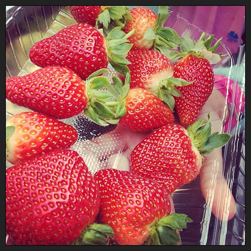 #strawbery picking #cameron