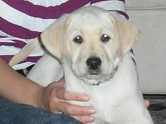 brandi 9 weeks