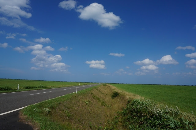 20150404 (39)