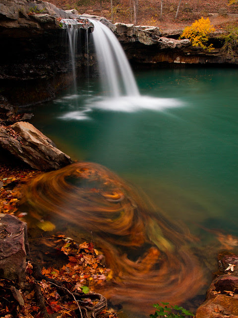Fallen leaves at Falling Water Falls
