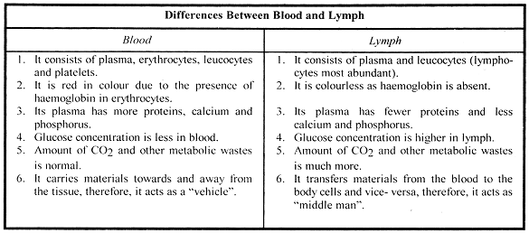 Snehabiology Blood And Lymph