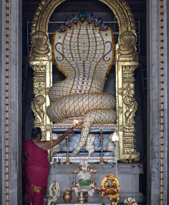 Змеиный фестиваль Nag Panchami 2017 Змеиный фестиваль Nag Panchami 2017