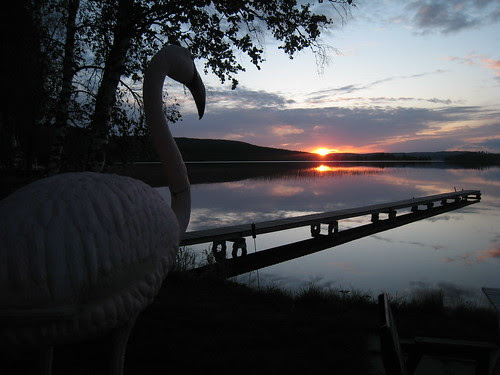 Sunset on lake Tavelsjön - with flamingo