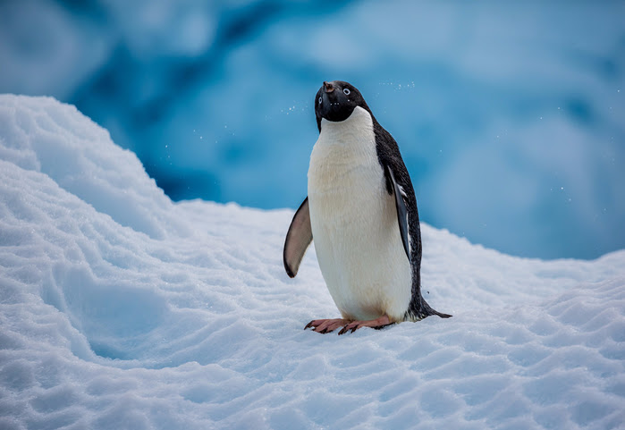 supercoolpics_28_13012015173411 (700x481, 300Kb)