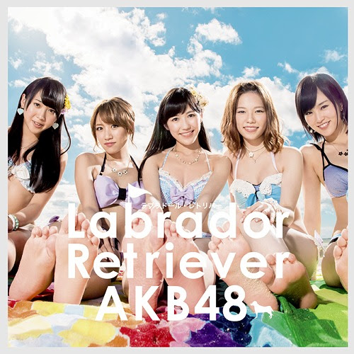 Labrador Retriever / AKB48