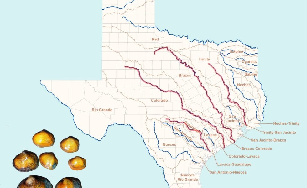 Map Of Texas Rivers - Share Map