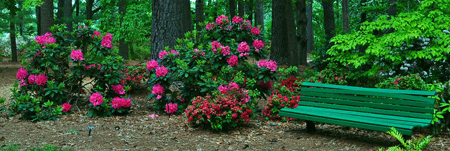 Bench