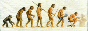 conevolutie
