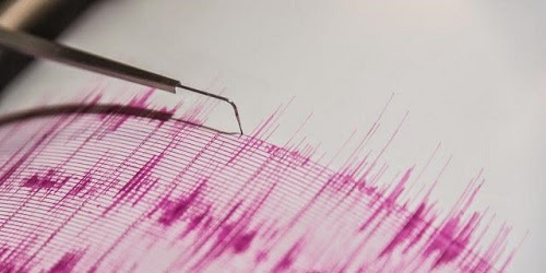  Contoh data seismograf. Gambar dari huffingtonpost.com.