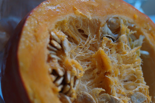 zucca