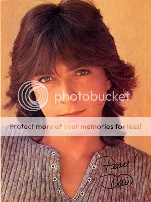 Styling David Cassidy Hairstyles Classic Mens Shag Haircuts