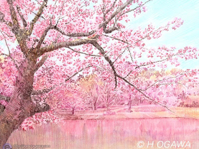 70以上 色鉛筆 リアル 桜の 木 イラスト 185818