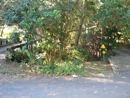 http://farm3.static.flickr.com/2181/2034596483_8e40cbe7c8.jpg?v=0
