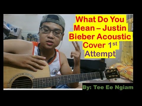 Justin Bieber - What Do You Mean (Acoustic Cover) 1st Attempt