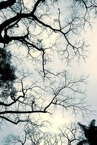 CRW_4785