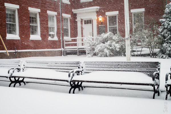 Blizzard 2013, Edgartown