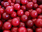 http://upload.wikimedia.org/wikipedia/commons/thumb/6/60/Cherry_plums.jpg/180px-Cherry_plums.jpg