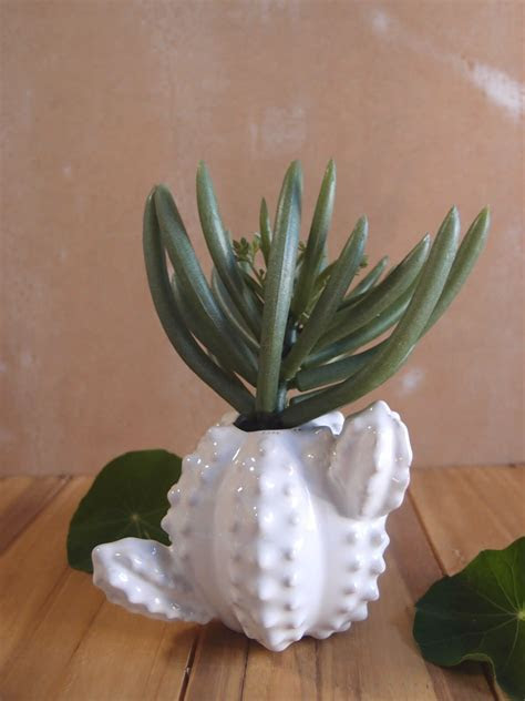 Ceramic Cactus Bud Vase 3.5 inch Ceramic Cactus Bud Vase 3.5 inch