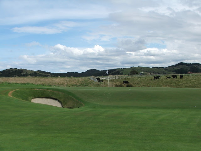 cape kidnappers 14 green