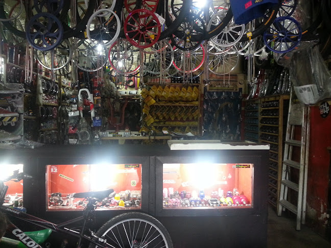 Guino's Skate-Bike