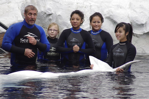 white beluga whale with pentax k-x white and tamron 70-300mm f/4.0-5.6