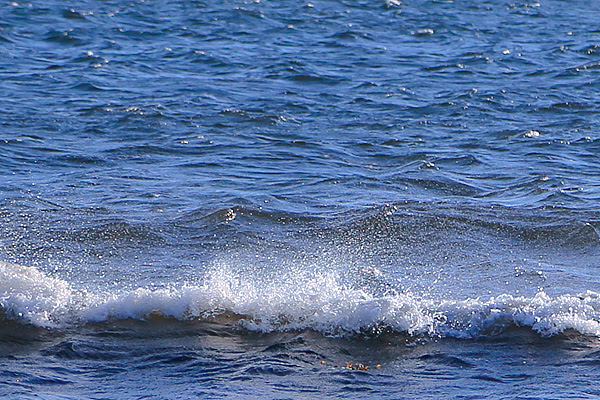 Surfhyddan_4