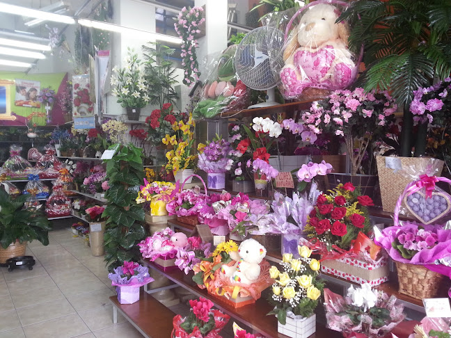 Comentários e avaliações sobre Floricultura 2000