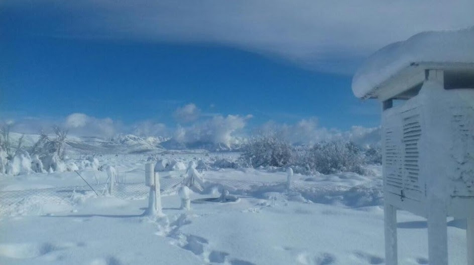 Resultado de imagen para ARGENTINA Y BRASIL ALCANZARON RÉCORDS EN TEMPERATURAS BAJO CERO