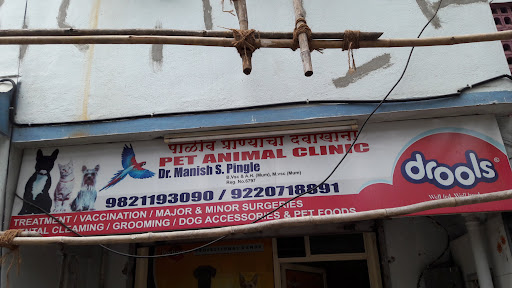 Pet Animals Clinic in Borivali East, Mumbai
