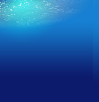image 32